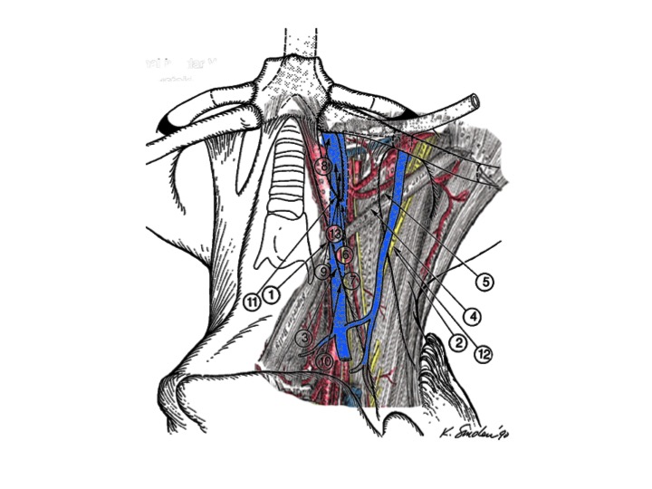 BATS - Better Anaesthesia Through Sonography